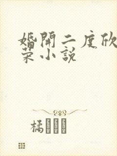 婚开二度欣欣向荣小说