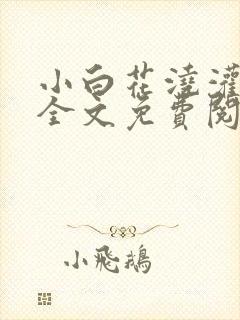 小白花浇灌日常全文免费阅读