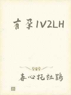 有孕1V2LH