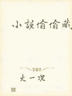 小说偷偷藏不住