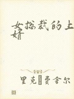 女总裁的上门女婿