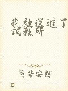 我被送进了私奴调教所