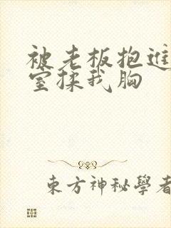 被老板抱进办公室揉我胸封面