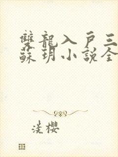 双龙入户三人行苏玥小说全文阅读封面