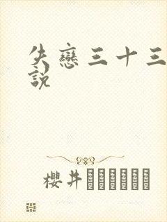 失恋三十三天小说