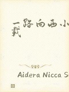 一路向西小说下载封面