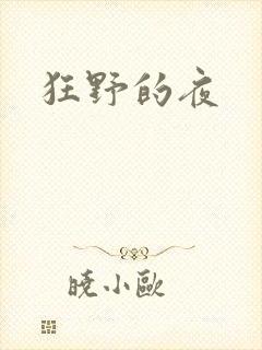 狂野的夜