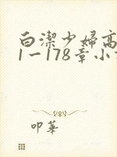 白洁少妇高义第1一178章小说封面