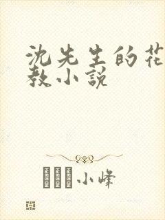 沈先生的花式管教小说封面