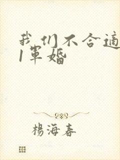 我们不合适1v1军婚