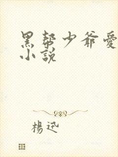 黑帮少爷爱上我小说封面