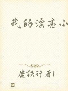 我的漂亮小后妈封面