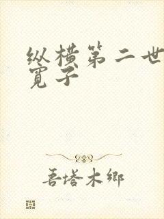 纵横第二世界 宽子