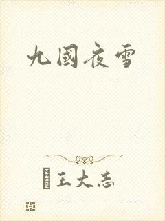 九国夜雪