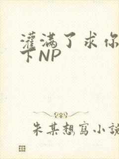灌满了求你们停下NP