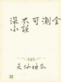 深不可测金银花小说