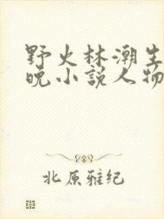 野火林潮生林晚晚小说人物野火