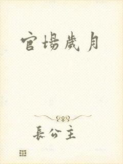 官场岁月封面