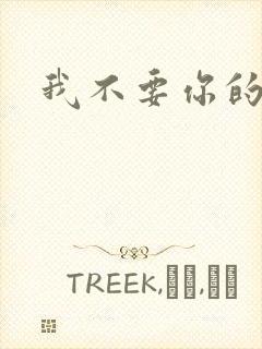 我不要你的承诺