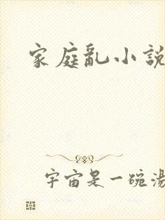 家庭乱小说