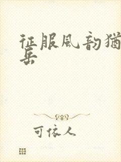 征服风韵犹存的岳封面