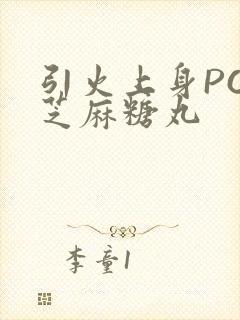 引火上身POP芝麻糖丸封面