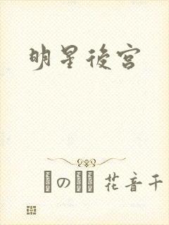 明星后宫