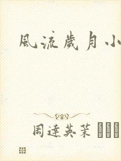 风流岁月小说封面