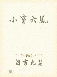 小宝六凤封面