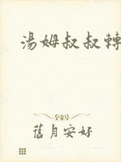 汤姆叔叔转接口