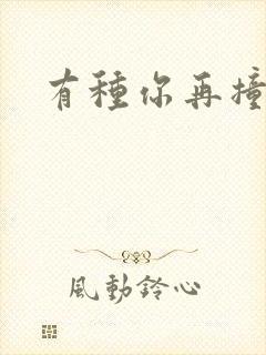 有种你再撞一下