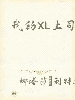 我的XL上司