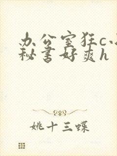 办公室狂c小雪秘书好爽h封面