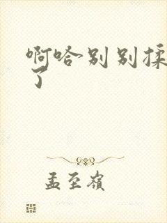 啊哈别别揉那处了