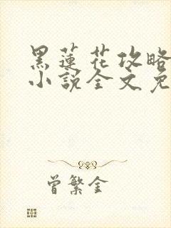 黑莲花攻略手册小说全文免费阅读笔趣阁封面