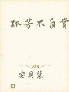 孤芳不自赏小说