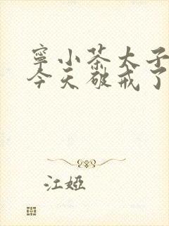 宁小茶太子殿下今天破戒了吗免费阅读