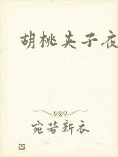 胡桃夹子夜未眠