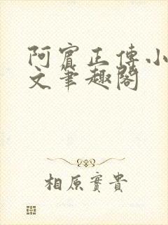 阿宾正传小说全文笔趣阁