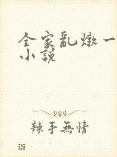 全家乱炖一锅烩小说