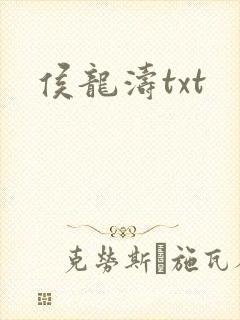 侯龙涛txt封面