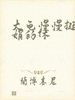 大龟慢慢挺进张娟的休封面