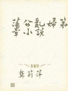 荡公乱妇第51章小说