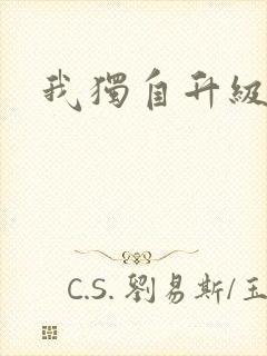 我独自升级小说