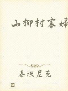 山柳村寡妇情史
