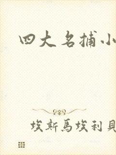 四大名捕小说