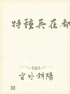 特种兵在都市封面