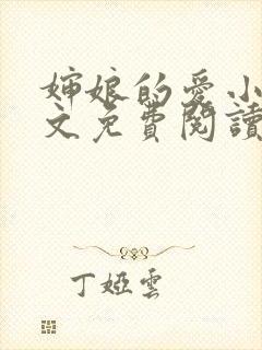 婶娘的爱小说全文免费阅读