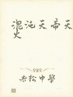 混沌天帝天地大火封面