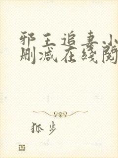 邪王追妻小说无删减在线阅读